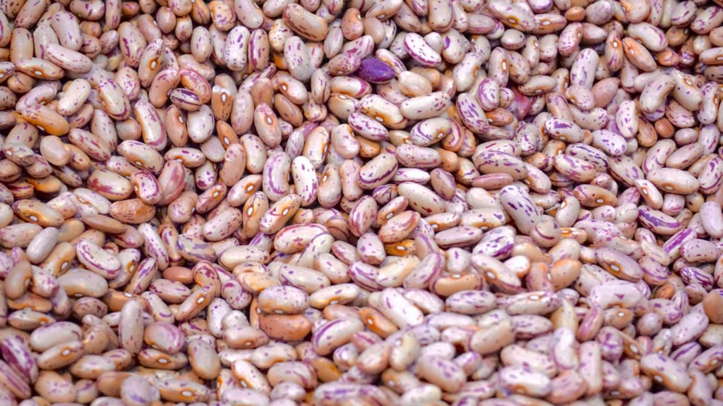 dried beans soak and sprout for gut health